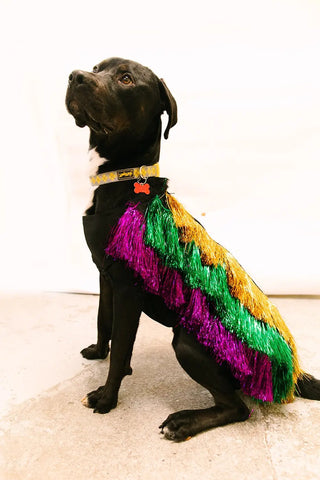 PRESALE: Doggie Tinsel Jacket - Fringe+Co