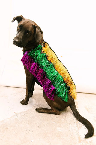 PRESALE: Doggie Tinsel Jacket - Fringe+Co