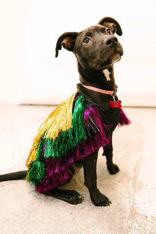 PRESALE: Doggie Tinsel Jacket - Fringe+Co