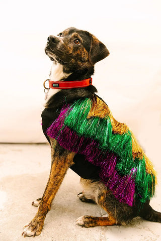 PRESALE: Doggie Tinsel Jacket - Fringe+Co