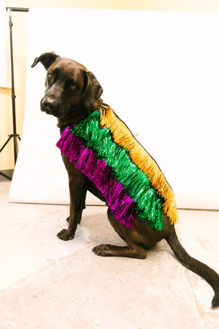 PRESALE: Doggie Tinsel Jacket - Fringe+Co